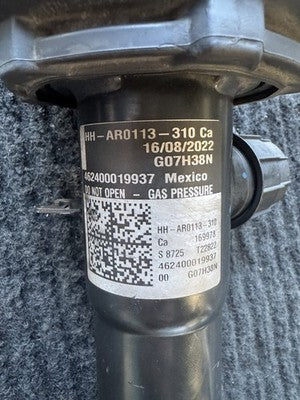 2019-2025 BMW X5 G05 X6 G06 X7 G07 Rear Right Air Strut OEM 37106869038 - eBay image 2