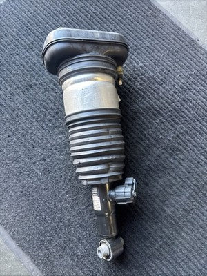 2019-2025 BMW X5 G05 X6 G06 X7 G07 Rear Right Air Strut OEM 37106869038 - eBay image 1