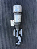 17-23 Mercedes-Benz AMG E43 E53 E63 W213 Front Left Air Strut A2133203401 OEM - eBay image 1