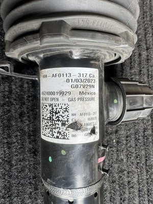 2019-2025 BMW X7 G07 Front Left Vdc High Air Suspension Strut OEM 37106869035 - eBay image 2