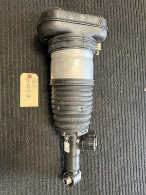 2019-23 BMW X5 G05 Left Rear Air Suspension Strut Shock Absorber OEM 78315615 - eBay image 1