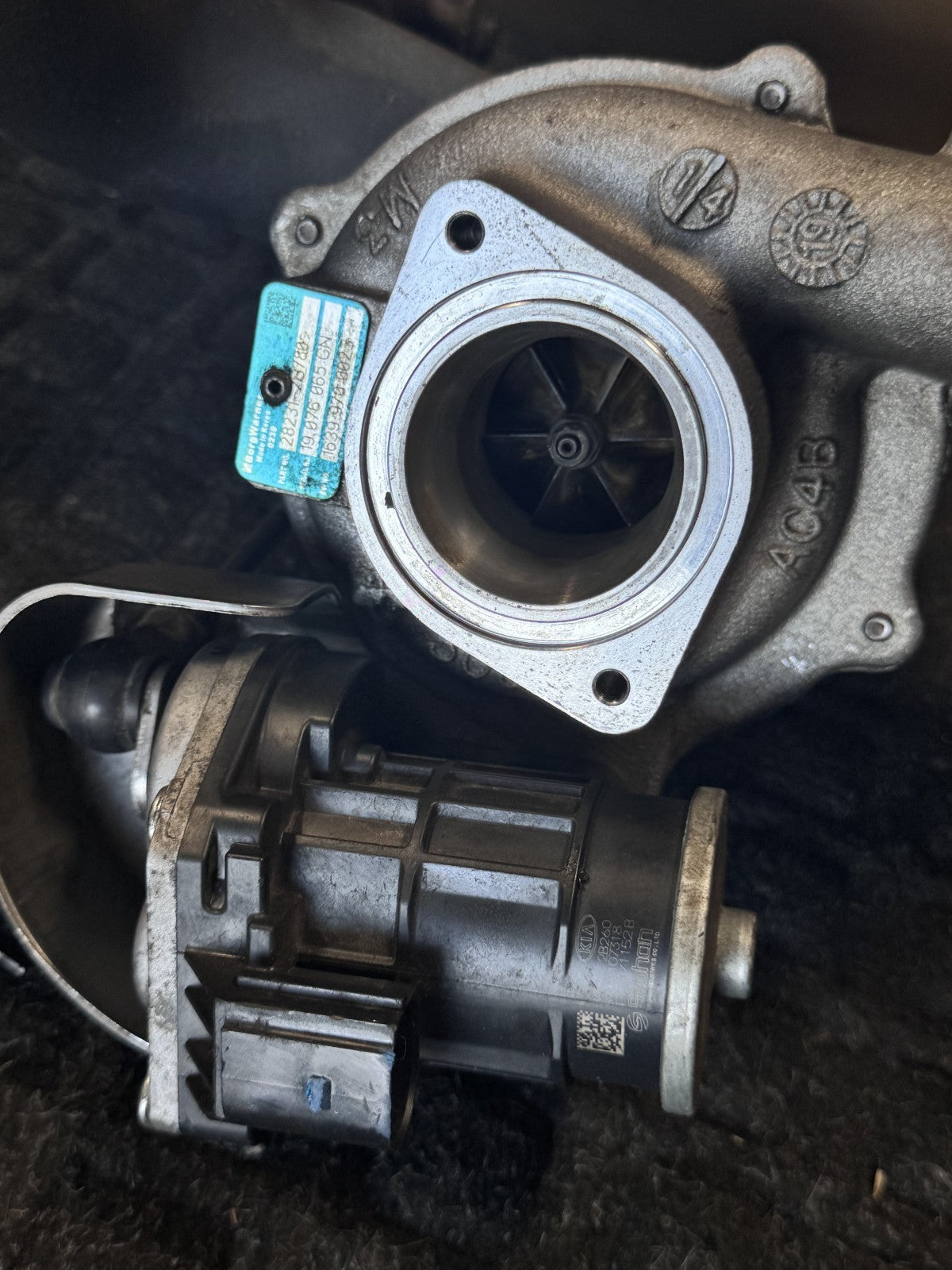 2016-21 Turbo 1.6L for Hyundai Veloster Kona Tucson Kia Forte OEM 28231-2B780 - eBay image 5