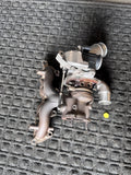 2016-21 Turbo 1.6L for Hyundai Veloster Kona Tucson Kia Forte OEM 28231-2B780 - eBay image 1