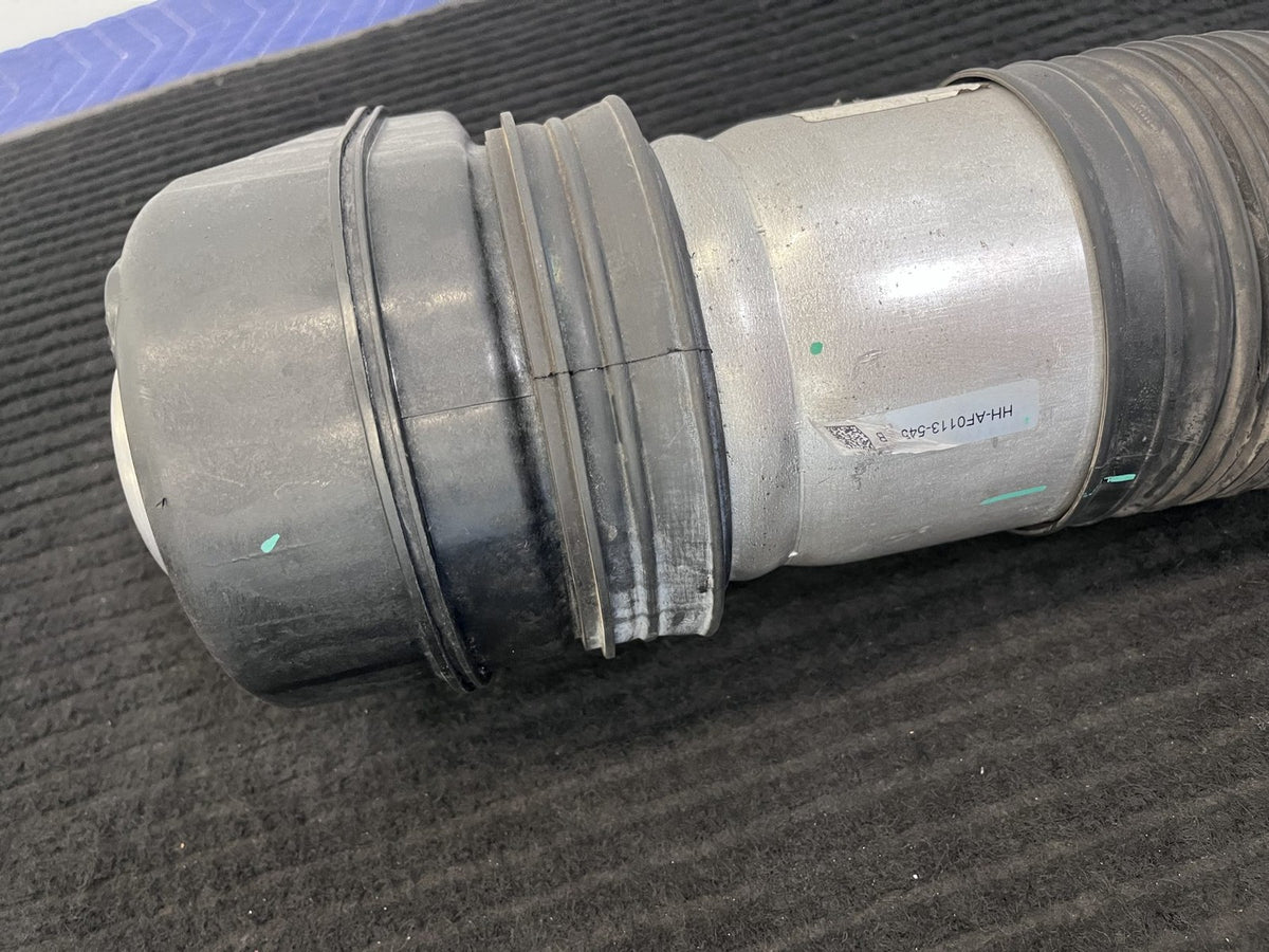 2019-2025 BMW X5 X6 G05 G06 Front Left Air Strut OEM 37106892425 78315615 - eBay image 9